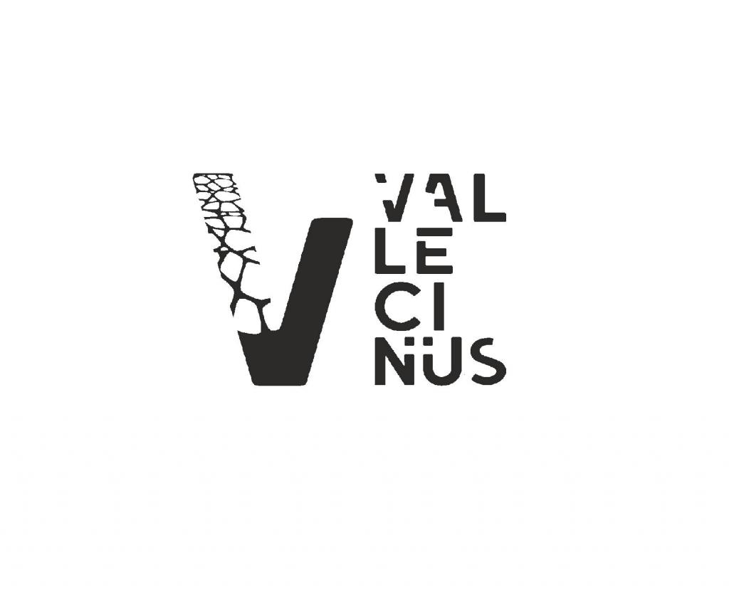 Associa&ccedil;&atilde;o Vallecinus Cultura e Desporto